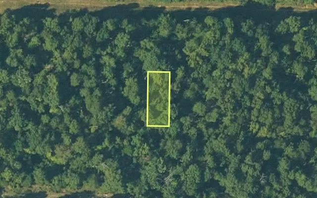 Aerial view of FULTON County parcel 686-25280-001 — Arkansas post-auction with approximate parcel outline