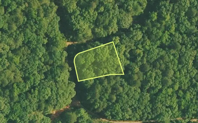 Aerial view of VAN BUREN County parcel 4500-01495-0000 — Arkansas post-auction with approximate parcel outline