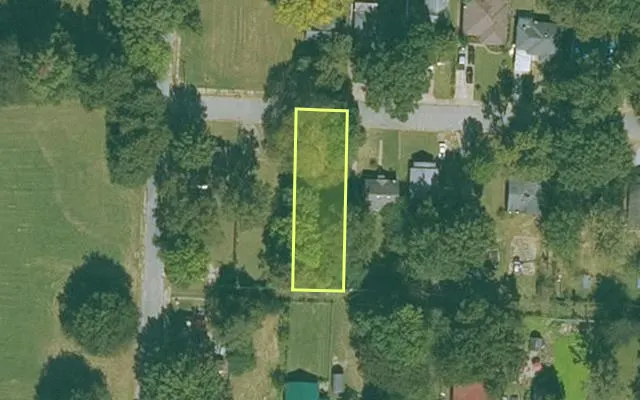 Aerial view of MISSISSIPPI County parcel 305-05667-000 — Arkansas post-auction with approximate parcel outline