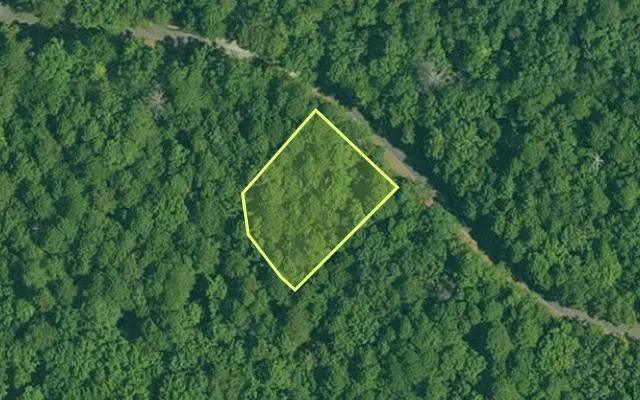 Aerial view of GARLAND County parcel 62014 — Arkansas post-auction with approximate parcel outline