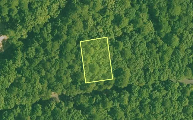 Aerial view of GARLAND County parcel 74605 — Arkansas post-auction with approximate parcel outline