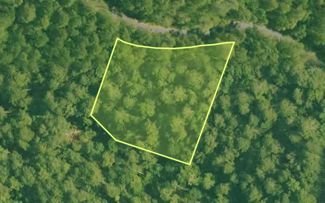 Aerial view of SALINE County parcel 460-00091-000 — Arkansas post-auction with approximate parcel outline