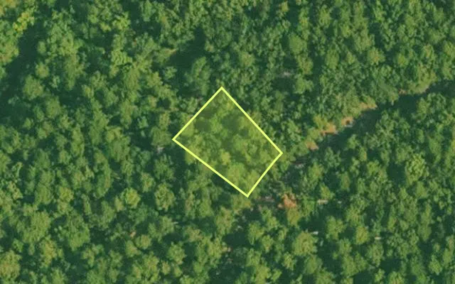 Aerial view of SALINE County parcel 456-00182-000 — Arkansas post-auction with approximate parcel outline
