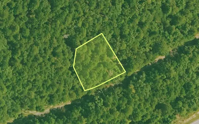 Aerial view of SALINE County parcel 640-00191-000 — Arkansas post-auction with approximate parcel outline