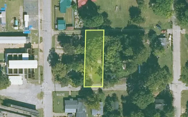 Aerial view of MISSISSIPPI County parcel 305-05325-000 — Arkansas post-auction with approximate parcel outline