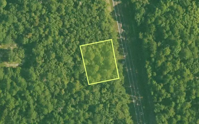 Aerial view of SALINE County parcel 556-00063-000 — Arkansas post-auction with approximate parcel outline