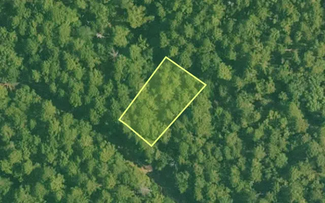 Aerial view of SALINE County parcel 496-00163-000 — Arkansas post-auction with approximate parcel outline