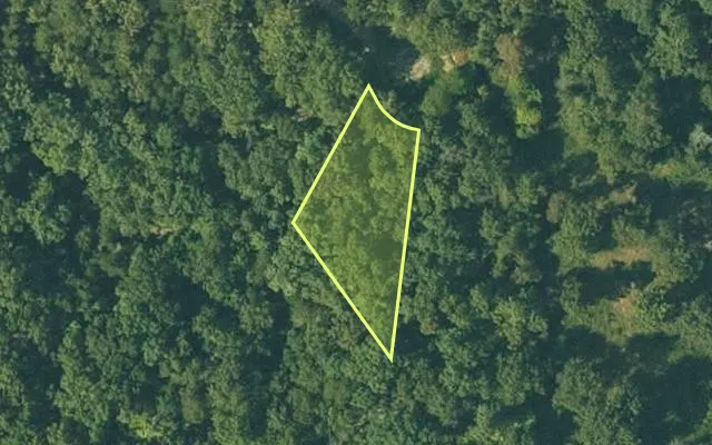 Aerial view of FULTON County parcel 310-17849-000 — Arkansas post-auction with approximate parcel outline