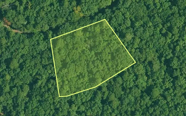 Aerial view of GARLAND County parcel 62110 — Arkansas post-auction with approximate parcel outline