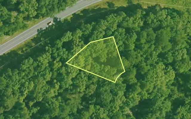 Aerial view of SALINE County parcel 688-00042-000 — Arkansas post-auction with approximate parcel outline