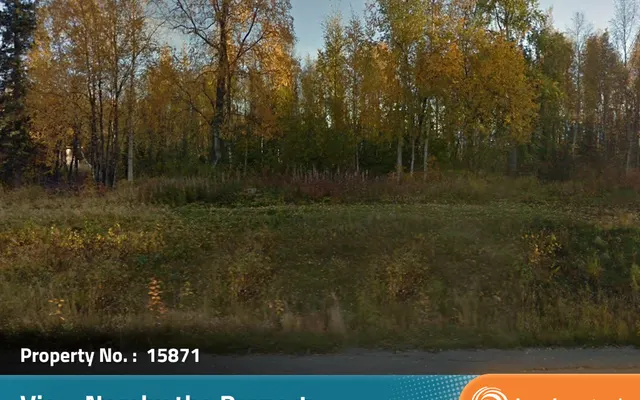 LandCentral listing preview for 5 acres in Matanuska-Susitna, AK — 15871