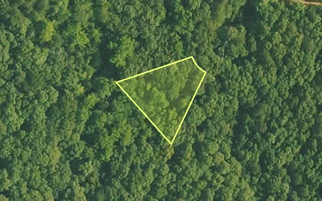 Aerial view of VAN BUREN County parcel 4500-01225-0000 — Arkansas post-auction with approximate parcel outline