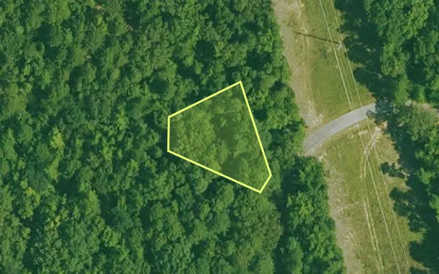 Aerial view of GARLAND County parcel 70409 — Arkansas post-auction with approximate parcel outline