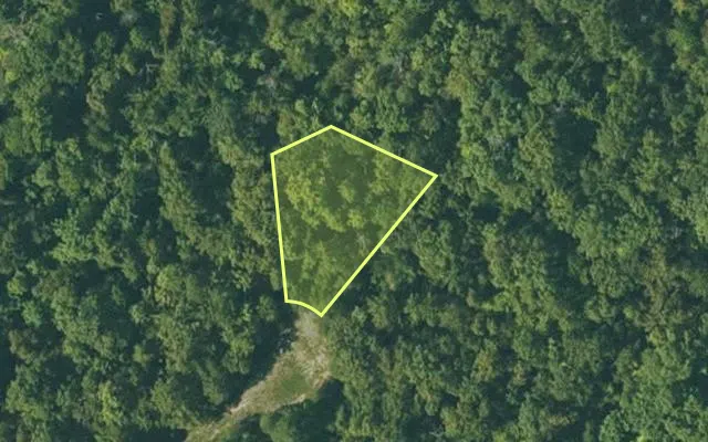 Aerial view of FULTON County parcel 290-17177-000 — Arkansas post-auction with approximate parcel outline
