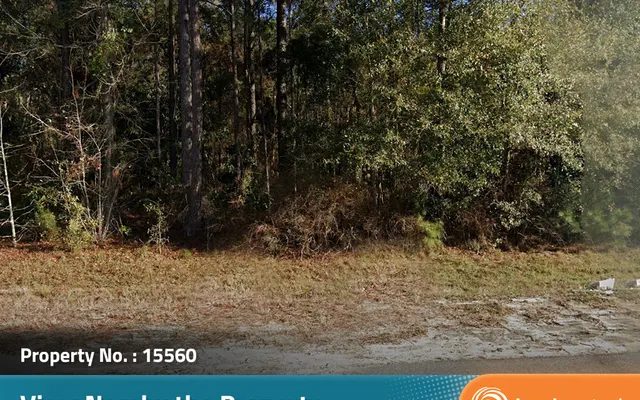 LandCentral listing preview for 0.48 acres in Wayne, GA — 15560