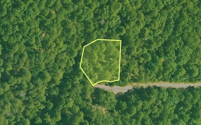 Aerial view of SALINE County parcel 640-00201-000 — Arkansas post-auction with approximate parcel outline