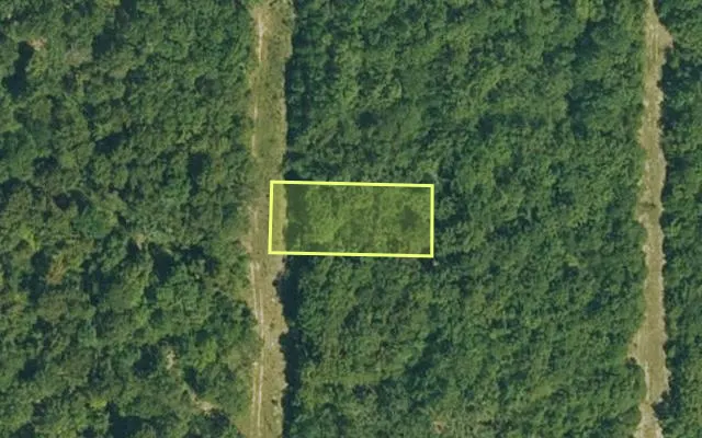 Aerial view of IZARD County parcel 800-01139-000 — Arkansas post-auction with approximate parcel outline