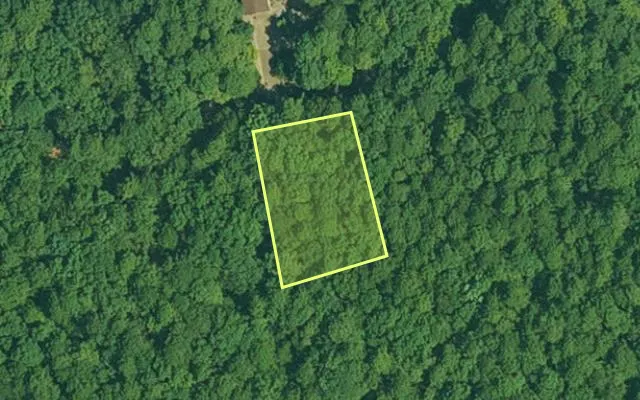 Aerial view of GARLAND County parcel 64018 — Arkansas post-auction with approximate parcel outline