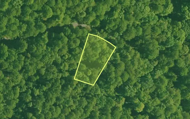 Aerial view of SALINE County parcel 440-00098-000 — Arkansas post-auction with approximate parcel outline