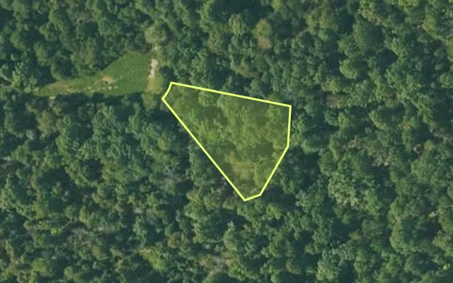 Aerial view of FULTON County parcel 365-20055-000 — Arkansas post-auction with approximate parcel outline