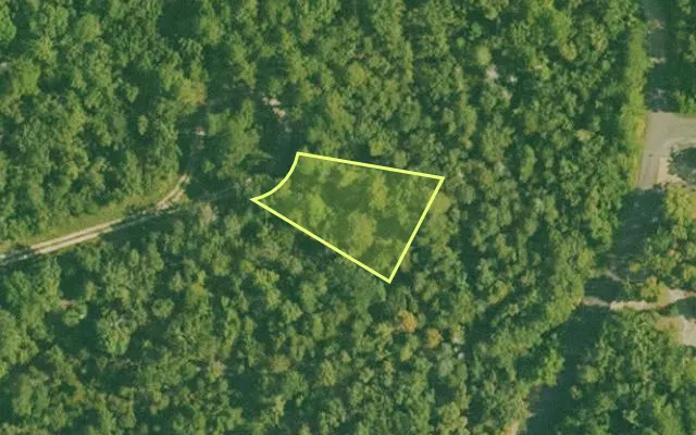 Aerial view of SALINE County parcel 500-00087-000 — Arkansas post-auction with approximate parcel outline