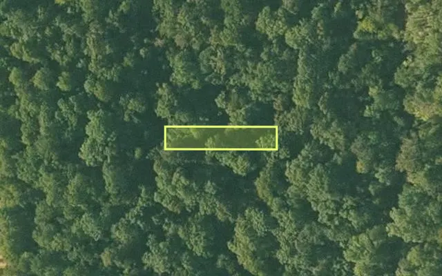Aerial view of SHARP County parcel 388-00233-000 — Arkansas post-auction with approximate parcel outline