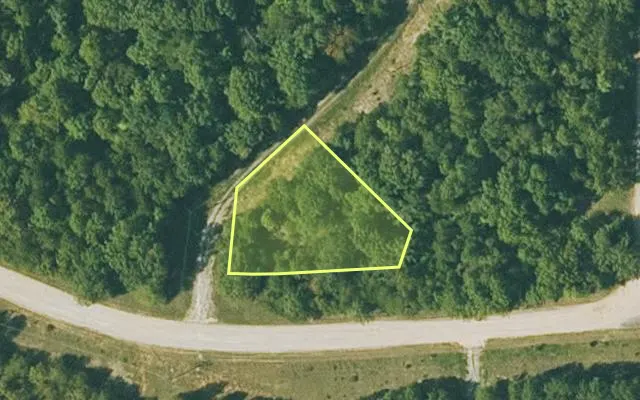 Aerial view of FULTON County parcel 290-17246-000 — Arkansas post-auction with approximate parcel outline