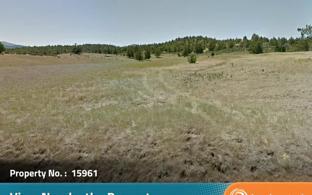 LandCentral listing preview for 2.6 acres in Siskiyou, CA — 15961