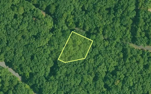 Aerial view of GARLAND County parcel 60634 — Arkansas post-auction with approximate parcel outline