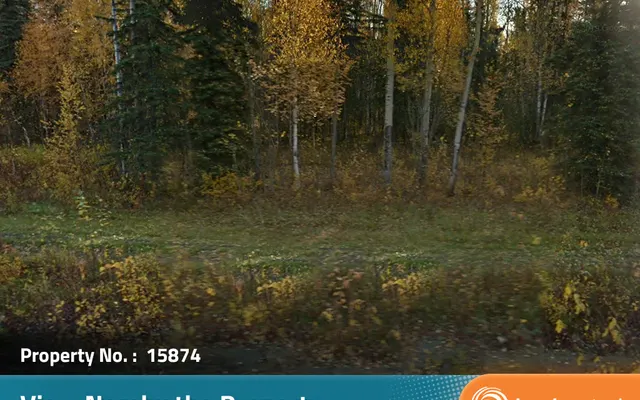 LandCentral listing preview for 5 acres in Matanuska-Susitna, AK — 15874