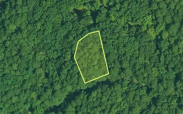 Aerial view of GARLAND County parcel 64202 — Arkansas post-auction with approximate parcel outline