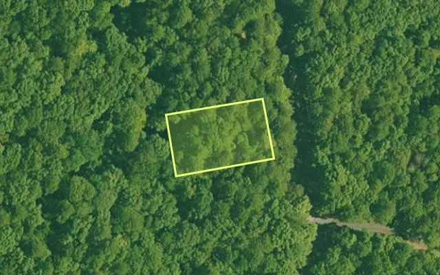 Aerial view of GARLAND County parcel 60002 — Arkansas post-auction with approximate parcel outline