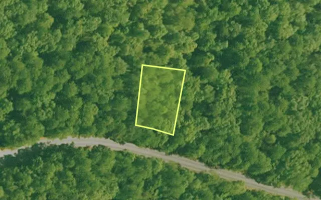 Aerial view of SALINE County parcel 628-00132-000 — Arkansas post-auction with approximate parcel outline