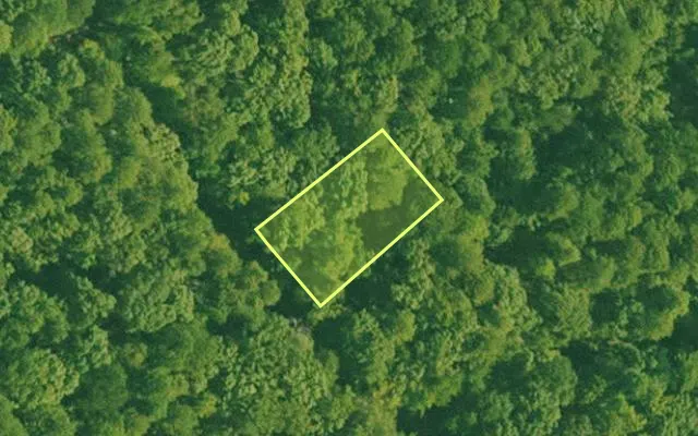 Aerial view of SALINE County parcel 456-00032-000 — Arkansas post-auction with approximate parcel outline