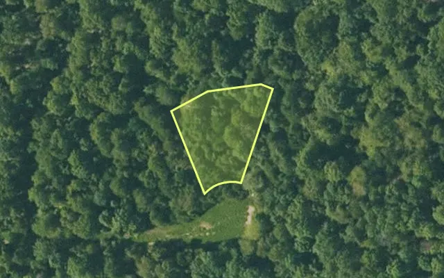 Aerial view of FULTON County parcel 365-20058-000 — Arkansas post-auction with approximate parcel outline