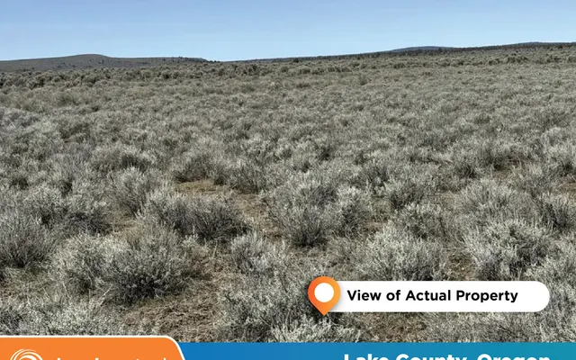 LandCentral listing preview for 165.47 acres in Lake, OR — 15819