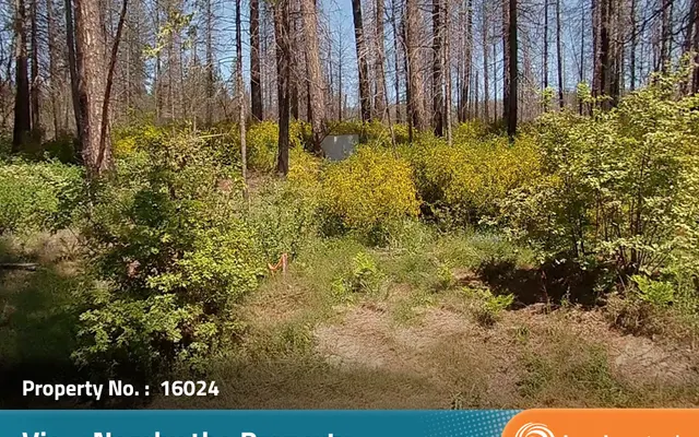 LandCentral listing preview for 0.29 acres in Butte, CA — 16024
