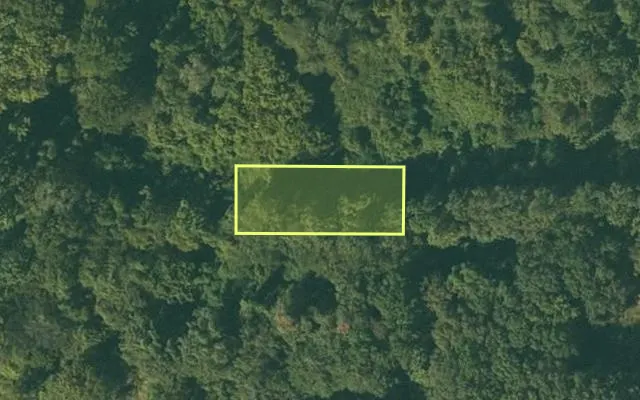 Aerial view of CHICOT County parcel 050-04023-000 — Arkansas post-auction with approximate parcel outline