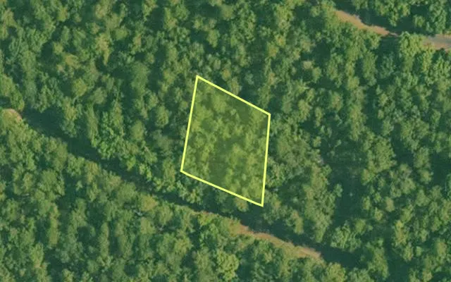 Aerial view of SALINE County parcel 496-00104-000 — Arkansas post-auction with approximate parcel outline