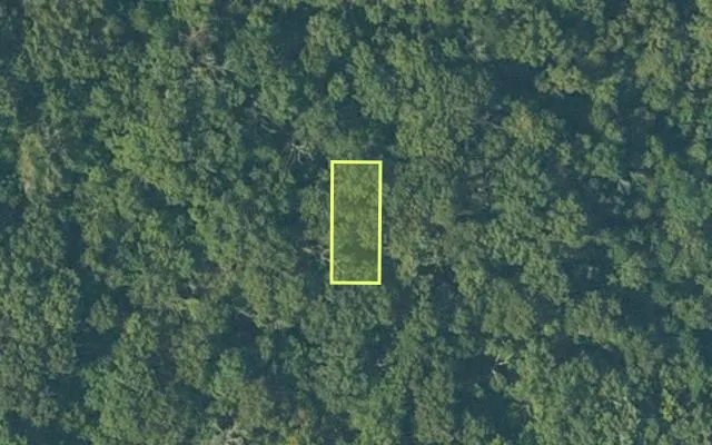 Aerial view of SHARP County parcel 546-00211-000 — Arkansas post-auction with approximate parcel outline