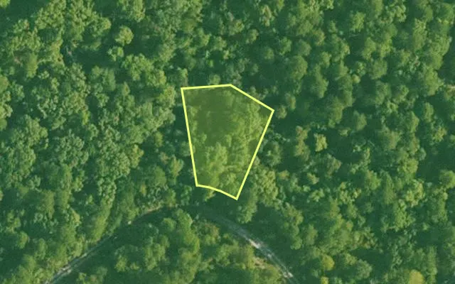 Aerial view of SALINE County parcel 768-00090-000 — Arkansas post-auction with approximate parcel outline