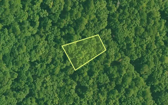 Aerial view of GARLAND County parcel 59918 — Arkansas post-auction with approximate parcel outline
