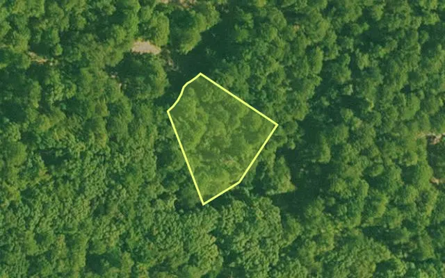 Aerial view of SALINE County parcel 440-00103-000 — Arkansas post-auction with approximate parcel outline
