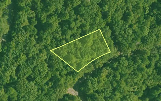 Aerial view of SALINE County parcel 536-00101-000 — Arkansas post-auction with approximate parcel outline