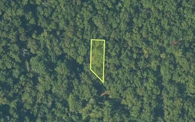 Aerial view of SHARP County parcel 546-00275-000 — Arkansas post-auction with approximate parcel outline