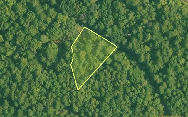Aerial view of SALINE County parcel 496-00204-000 — Arkansas post-auction with approximate parcel outline