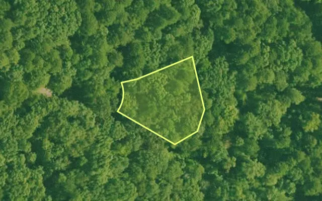 Aerial view of SALINE County parcel 456-00024-000 — Arkansas post-auction with approximate parcel outline