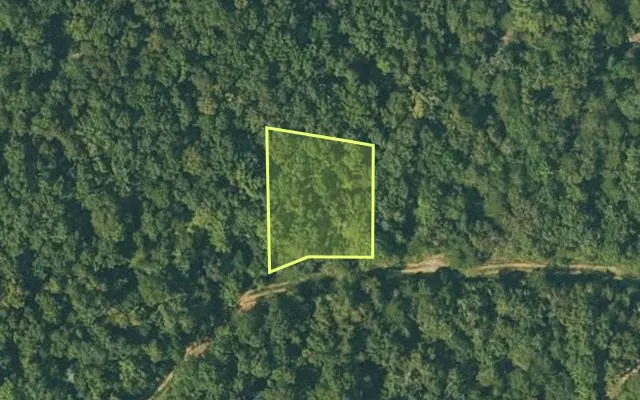 Aerial view of FULTON County parcel 335-18652-000 — Arkansas post-auction with approximate parcel outline