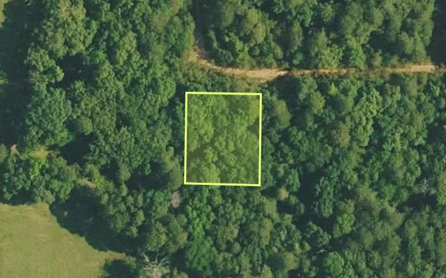 Aerial view of VAN BUREN County parcel 4500-02580-0000 — Arkansas post-auction with approximate parcel outline