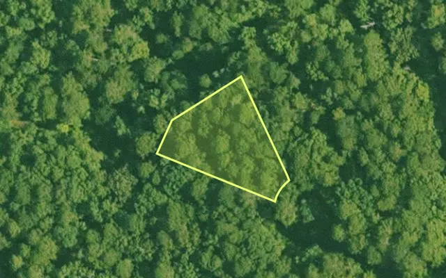 Aerial view of SALINE County parcel 756-00072-000 — Arkansas post-auction with approximate parcel outline